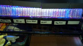 2013-03-23_10-17-52_310.jpg