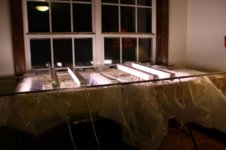 float trays.jpg