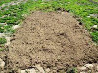 100_2261.jpg 100_2261.jpg