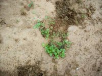 100_2308.jpg 100_2308.jpg