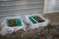 outside float trays.jpg