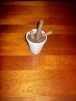 100_2316.jpg