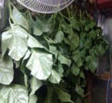 IMG_20180911_112512890~2.jpg