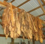 hangt 6.jpg