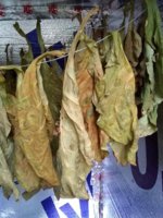 IMG_20181031_082300503.jpg IMG_20181031_082300503.jpg