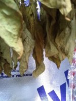 IMG_20181031_082307318.jpg IMG_20181031_082307318.jpg