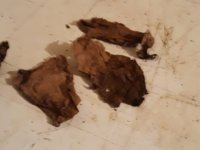 20181031_124828.jpg
