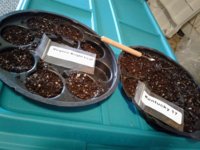 20181101_134304.jpg 20181101_134304.jpg