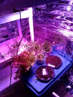 20181101_163843.jpg 20181101_163843.jpg