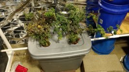 IMG_20181106_192838547.jpg IMG_20181106_192838547.jpg