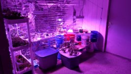 IMG_20181108_191743744_HDR.jpg IMG_20181108_191743744_HDR.jpg