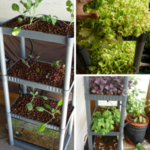 shelf-aquaponics-300x300.png