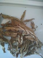 IMG_20181109_112756547.jpg IMG_20181109_112756547.jpg