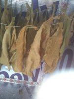 IMG_20181109_112821243.jpg IMG_20181109_112821243.jpg