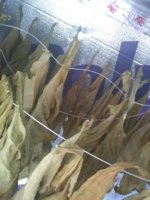 IMG_20181109_112829552.jpg IMG_20181109_112829552.jpg