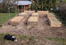 garden2019.jpg