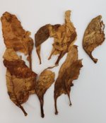 katerini tobacco New Item: Turkish/Oriental Katerini | Fair Trade Tobacco