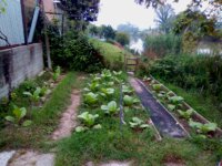 Garden A_2019-05-26__062358.jpg