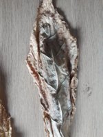 20190815_102655.jpg