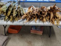 IMG_20190815_191158.jpg