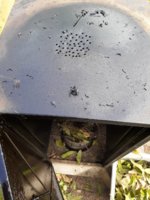 20190929_110914[1].jpg