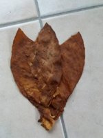 20191004_180618.jpg 20191004_180618.jpg