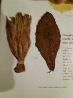 20191130_195218.jpg 20191130_195218.jpg