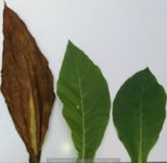 20191130_183528.jpg 20191130_183528.jpg