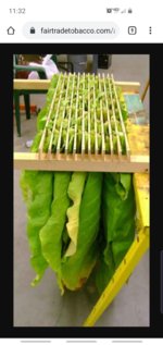 Screenshot_20191229-113230_Chrome.jpg Screenshot_20191229-113230_Chrome.jpg