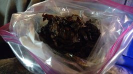 IMG_20191230_170312752.jpg