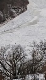 DSC_0735~2.JPG