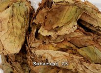 Katarini C3.jpg