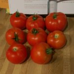 IMAG1519_1.jpg