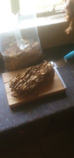 IMG-20200616-WA0013.jpeg