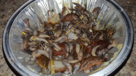 plate.jpg