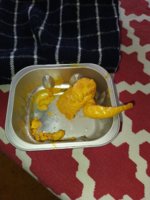 IMG_20200729_142503.jpg