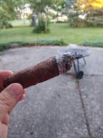IMG_20200804_194818341.jpg