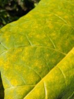 20200814_132957.jpg