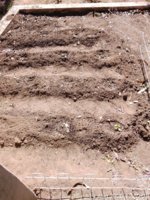 TimePhoto_20200819_125228.jpg TimePhoto_20200819_125228.jpg