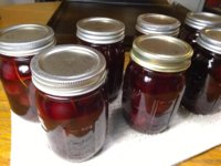 IMG_20200823_013211763.jpg