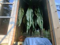 IMG_20200901_185833.jpg