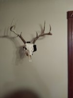 IMG_20200101_133834565.jpg