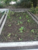 IMG_20200912_074959.jpg