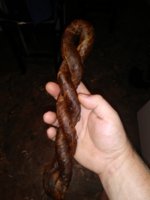 20200914_071253.jpg