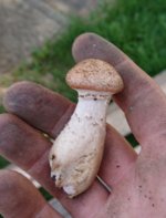 DSC_0416~2.JPG