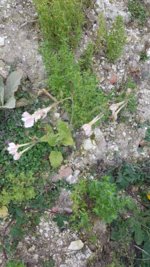 20200927_144027.jpg 20200927_144027.jpg