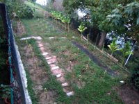 03. 15a VAgold_2020-09-06.jpg