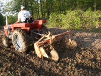 tilling with the tractor 011.JPG