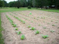 100_2326.jpg 100_2326.jpg