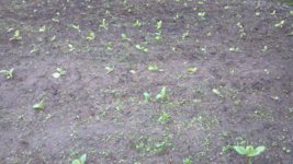 2013-05-23_17-39-01_629.jpg
